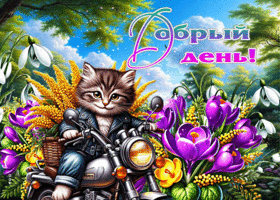 Весёлая, мечтательная весенняя гиф-открытка Добрый день