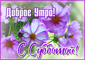 Видео открытка доброе утро субботы
