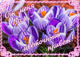 Виртуальная открытка От меня вам - цветочный привет!