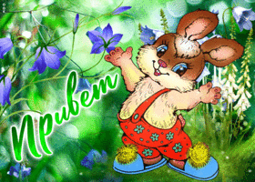 Виртуальная открытка Привет! С зайчонком