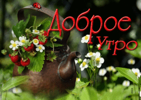 Виртуальная открытка с клубничкой Доброе утро
