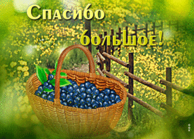 Виртуальная открытка Спасибо большое! С корзиной ягод