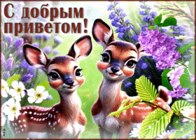 Волшебная гиф-открытка С добрым приветом!