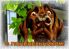 Волшебная гиф-открытка С понедельником