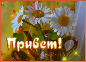 Волшебная открытка с букетом ромашек Привет!