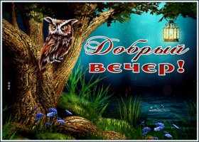 Волшебная открытка с совой Добрый вечер