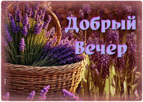 Волшебная, трепетная открытка Добрый вечер