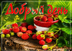 Волшебная, вкусная летняя открытка Добрый день