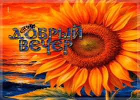 Восхитительная гифка Добрый вечер