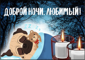 Восхитительная картинка Доброй ночи, любимый! С собачкой