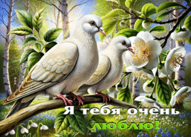 Восхитительная весенняя открытка Я тебя очень люблю