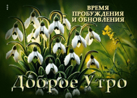 Время пробуждения и обновления! Доброе утро