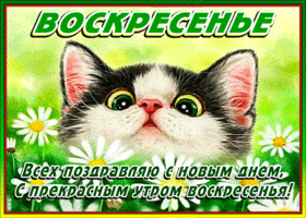 Всех поздравляю с новым днем воскресенья