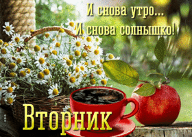 Вторник! И снова утро! И снова солнышко