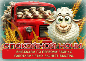 Выезжаем по первому звонку, работаем четко, заснете быстро