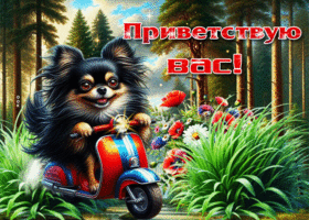 Харизматичная летняя гиф-открытка Приветствую вас!