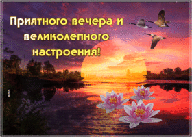 Хорошая открытка Приятного вечера и великолепного настроения