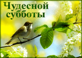 Хорошая открытка с воробьем Чудесной субботы