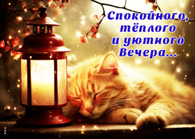 Хорошая открытка Спокойного, теплого и уютного вечера