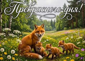 Хорошего дня и море улыбок
