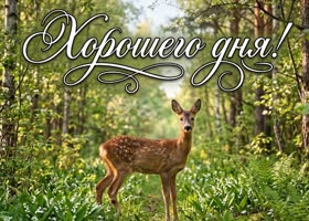 Хорошего дня и прекрасных новостей