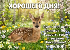 Хорошего дня и приятных сюрпризов