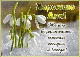Хорошего дня! Желаю безграничного счастья сегодня и всегда