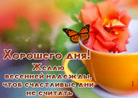 Хорошего дня! Желаю весенней надежды, чтоб счастливые дни не считать
