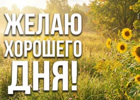 Хорошего настроения и лёгкости во всех делах.