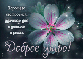 Хорошего настроения, удачного дня и успехов в делах! Доброе утро