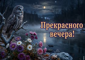 Хорошего вечера и душевной гармонии