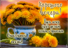 Хорошего вечера! Пусть вечер будет уютным, теплым и приятным