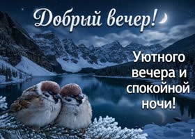 Хорошего вечера. Снежного настроения и тихого зимнего уюта за окном.