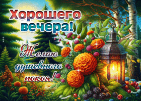 Хорошего вечера! Желаю душевного покоя