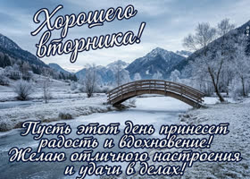 Хорошего вторника! Успешных дел и приятных событий в течение дня!