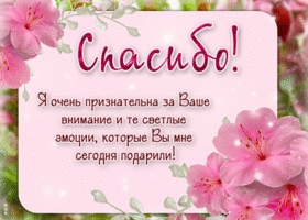 Я очень признательна за ваше внимание! Спасибо