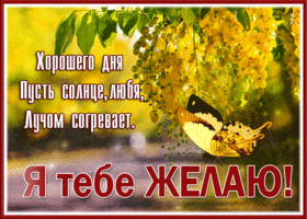Я тебе желаю хорошего дня, пусть солнце любя лучом согревает