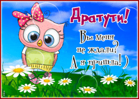 Яркая открытка Дратути! Вы меня ждали?