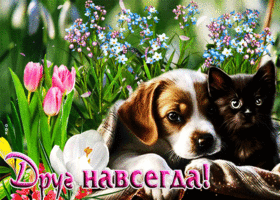 Яркая и эмоциональная гиф-открытка Друг навсегда