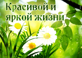 Яркая и энергичная открытка Красивой и яркой жизни!