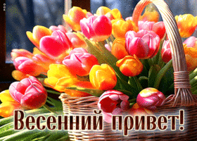 Яркая и оптимистичная гиф-открытка Весенний привет