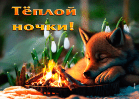 Яркая и привлекательная гиф-открытка Теплой ночки