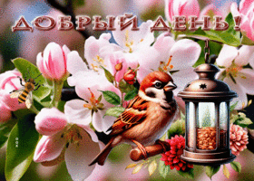 Яркая и весенняя гиф-открытка с птичкой Добрый день