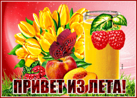 Яркая открытка Привет из лета!