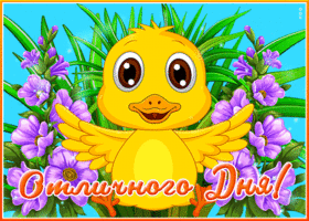 Яркая открытка с птенцом Отличного дня!