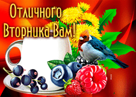 Яркая открытка с птичкой Отличного вторника вам!