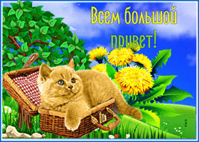 Яркая открытка Всем большой привет!