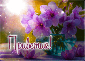 Яркая весенняя гиф-открытка Приветик