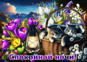 Яркая весенняя открытка Спокойной ночи