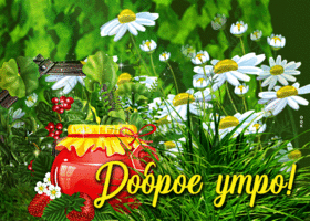 Яркая зеленая открытка с добрым утром